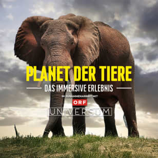 Planet der Tiere - Die immersive Ausstellung