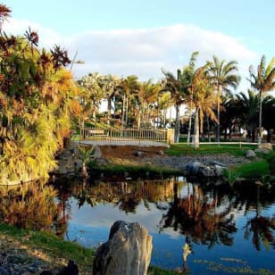 Palmetum de Santa Cruz de Tenerife: Entrada