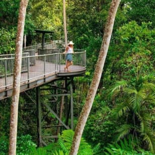 Mamu Tropical Skywalk