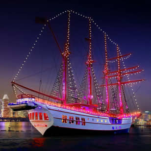Royal Albatross City Lights Dinner Cruise