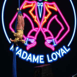 Madame Loyal Genève by Festival du Soir