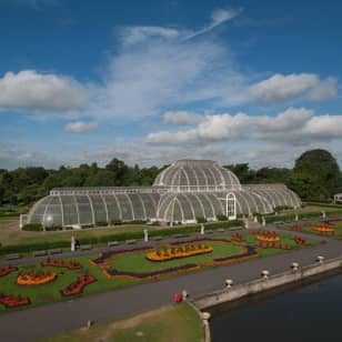 Kew Gardens Entrance Ticket