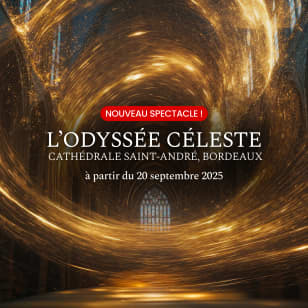 LUMINISCENCE : Le grand retour à Bordeaux, dans la lumière de Saint-André - Liste d’attente