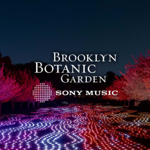 Lightscape at Brooklyn Botanic Garden