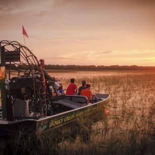 1-Hour Boggy Creek Sunset Airboat Tour