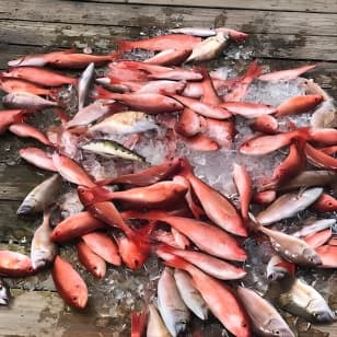Shared Deep Sea Fishing Trip