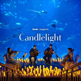 ﻿Candlelight: Tribute to ABBA at the Seville Aquarium