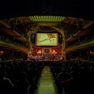 Navidad en el Palau: El cascanueces de Tchaikovsky