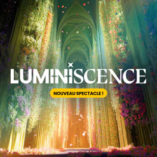 LUMINISCENCE : Le grand retour à Bordeaux, dans la lumière de Saint-André - Liste d’attente