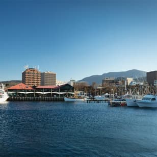 Hobart City Sightseeing Tour including MONA Admission