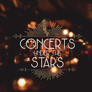 A Starlit Tribute to Stevie Nicks at Enzo's on the Lake