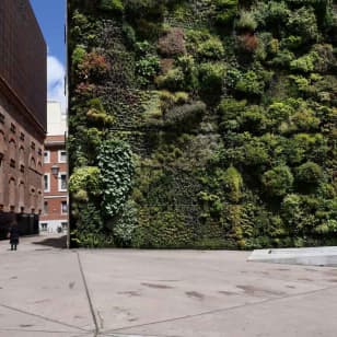 Visita guiada privada al CaixaForum Madrid con entradas