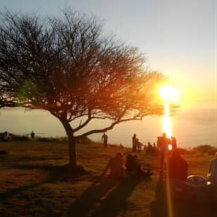 Summer Sunset Bus Tour in Cape Town