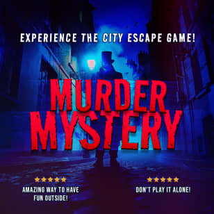 Pittsburgh Murder Mystery: Death in the Shadows