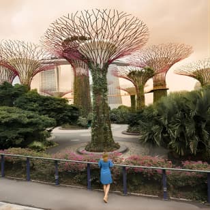 Singapore Instagram Private Walking Tour (Private & All-Inclusive)