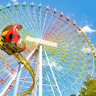 枚方公園: 入場券 + オールアクセス・パス