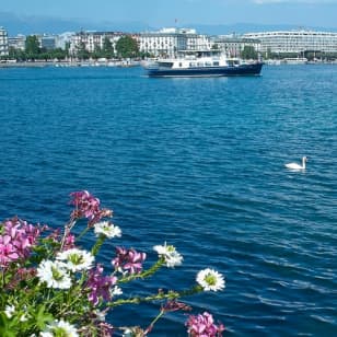 Excursion en bateau à Genève