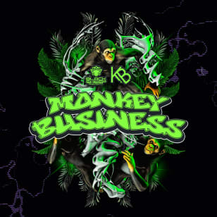 Bounce Empire - Monkey Business