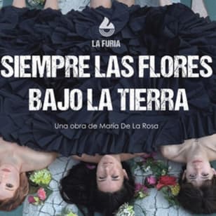Siempre las flores bajo la tierra