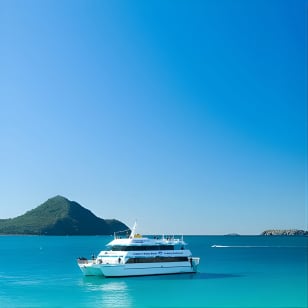 Port Stephens: Dolphin Discovery Cruise