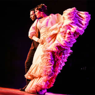 Live Flamenco Show