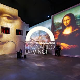 Visualfarm Gymnasium: Leonardo da Vinci