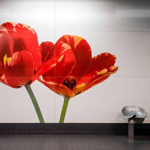 Visite guidée : L’Art dans le Métro Bruxellois