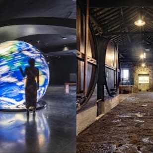 Fonseca Cellar & The Wine Experience: Tour + Degustação