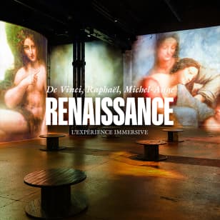 Renaissance : de Vinci, Raphaël, Michel-Ange – L’expérience immersive à l’Atelier des Lumières