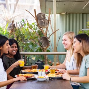 Wild Life Sydney: Breakfast with the Koalas