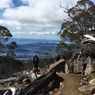 2-Hour Return kunanyi/Mt Wellington Explorer Bus