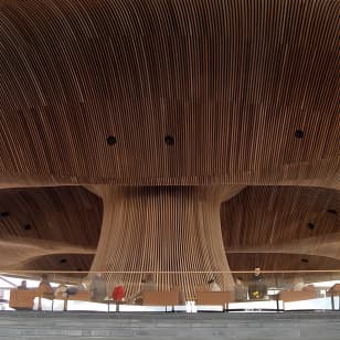 Cardiff Like a Local: Customized Private Tour