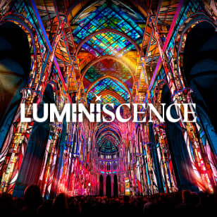 LUMINISCENCE: Duik in het geheim van de legendarische Notre-Dame de la Treille in Lille.