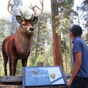 Meta Park Zoo