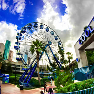 ﻿Houston City Tour y Downtown Aquarium Pase para todas las atracciones