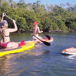 Stand Up Paddleboard Rental on Big Hickory Pass