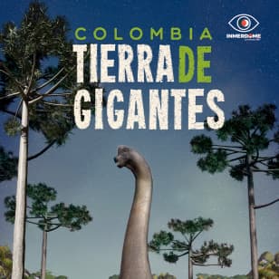 Pereira Bajo las Estrellas - Colombia Tierra de Gigantes