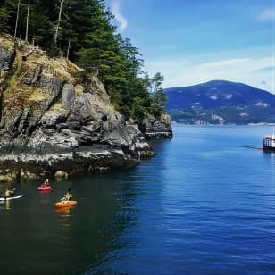 Morning Kayak & Seal Cruise