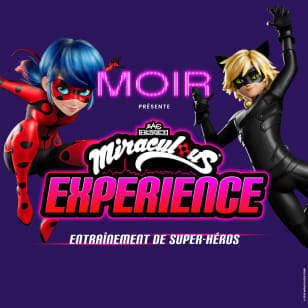 Miraculous Experience : Entraînement de Super-Héros au MOIR - Liste d'attente