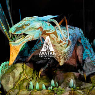 Avatar: The Experience