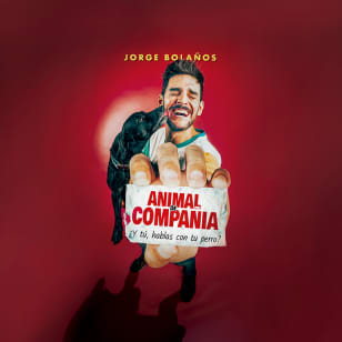 Animal de Compañía en Zaragoza