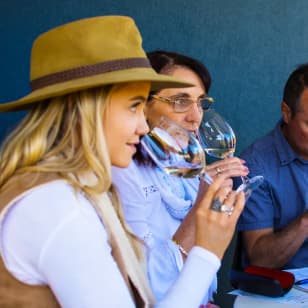 ﻿Escápate de la ciudad y prueba los vinos de Long Island