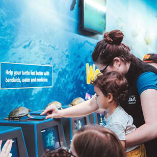 SEA LIFE Kelly Tarlton's Aquarium