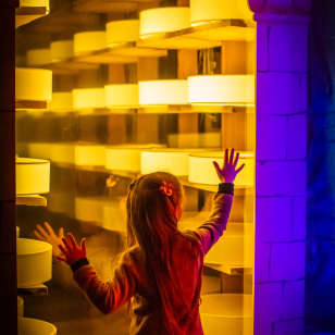 The Cheese Experience: the immersive tasting journey where cheeses come to life!