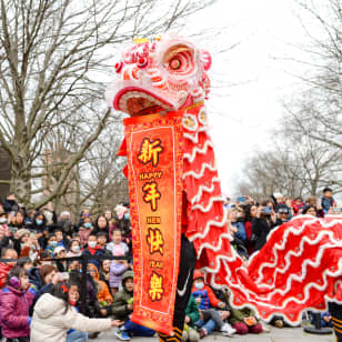 2026 Lunar New Year at Queens Botanical Garden