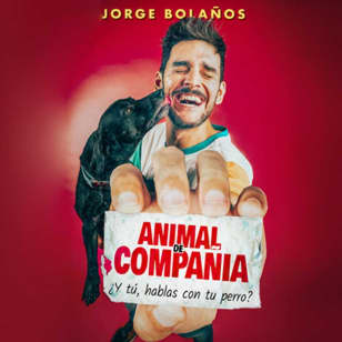 Animal de Compañía
