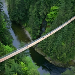 Post-Cruise Shore Excursion: Capilano Suspension Bridge & Grouse Mountain