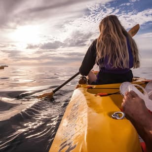 Kayak to the penguins in Simons Town