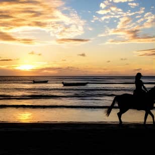 Cartagena: Horseback Riding at the Beach During Day or Sunset