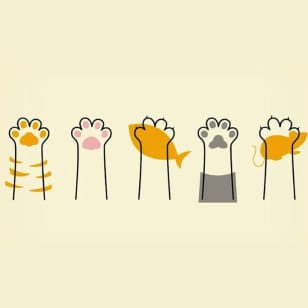 The Psychology of Cats with Dr Jon Bowen